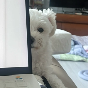 작성자 썸네일